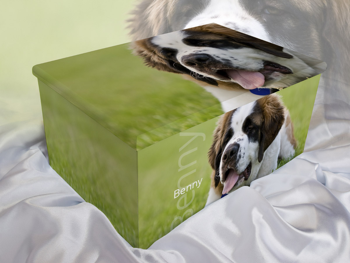Pet Creamation Ash Boxes